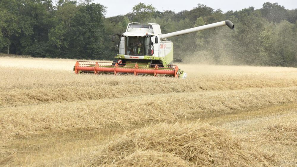 La situation aux États-Unis pèse sur les prix (Tallage)