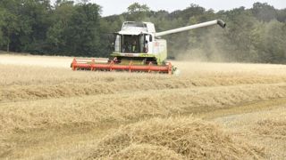 La situation aux États-Unis pèse sur les prix (Tallage) La situation aux États-Unis pèse sur les prix (Tallage)