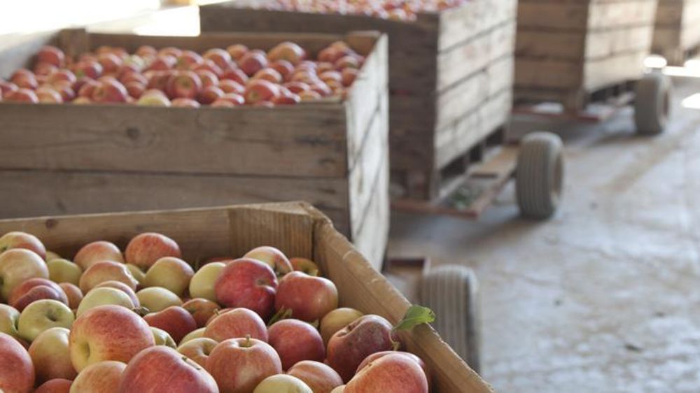 © J.-A. Delevaux/Interfel