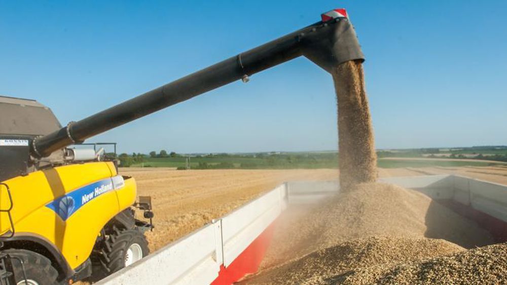 © Jean-Michel Nossant