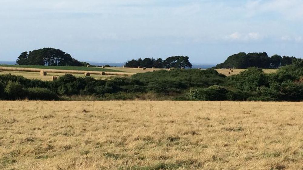 © E. Roussel / GFA