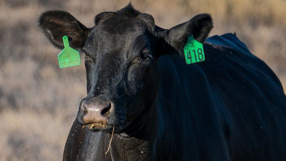 © Lance Cheung. / USDA