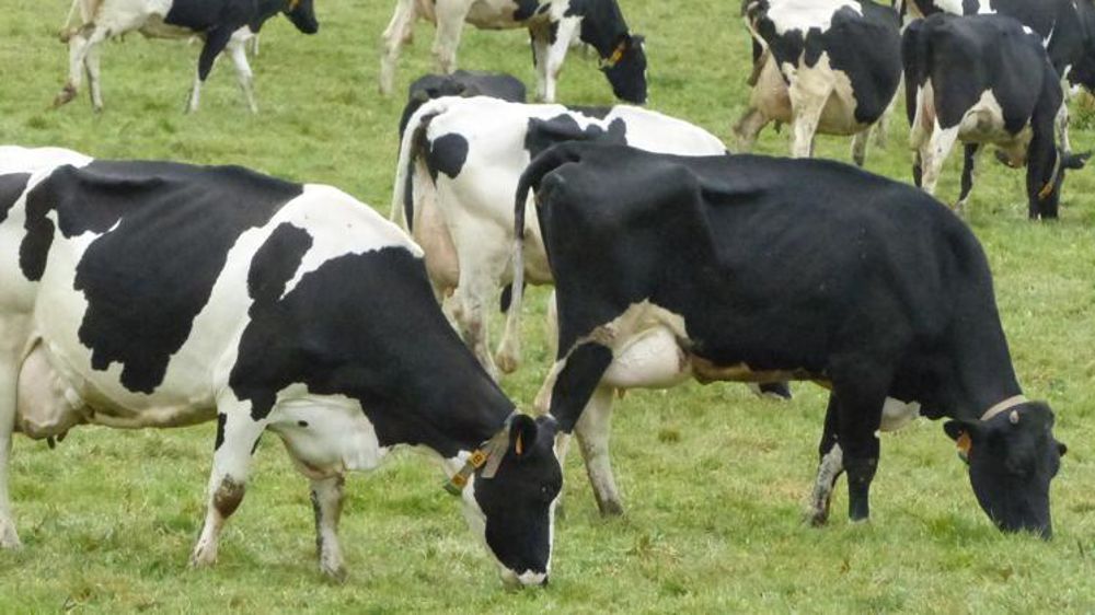 © M. Bressand / GFA