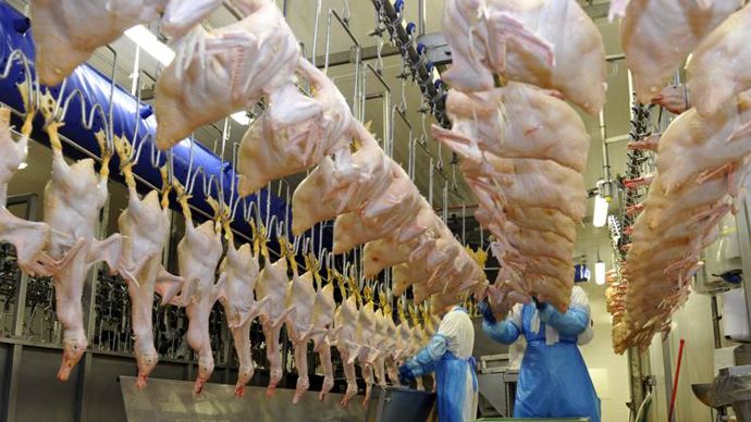 Lot De 12 Fourchettes De Levage Pour Volaille Et Rôti – Acier Inoxydable Al-de-chef