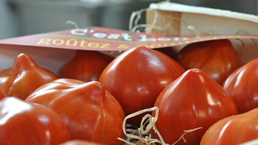 © P. Dufour / Interfel