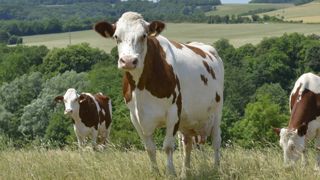 Il faut « une réduction imposée de la production » au niveau européen Il faut « une réduction imposée de la production » au niveau européen