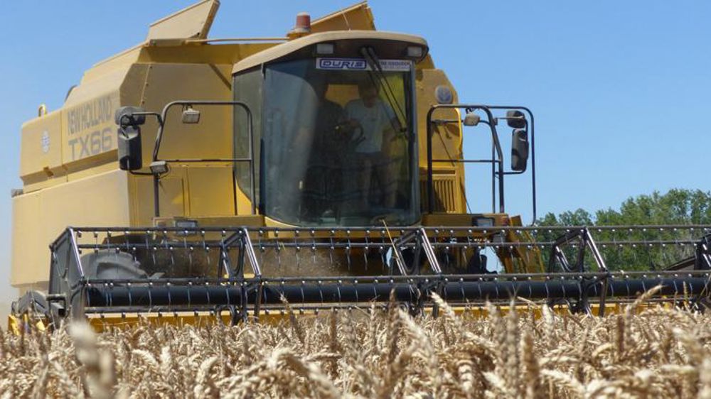 Érosion du blé et de l’orge, stabilité du maïs (Tallage)