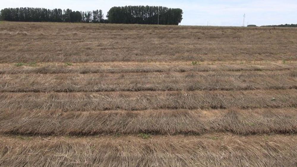 Pas de place pour de nouveaux producteurs