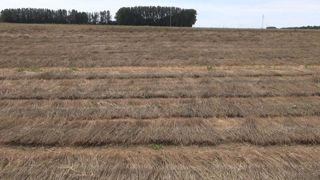 Pas de place pour de nouveaux producteurs Pas de place pour de nouveaux producteurs