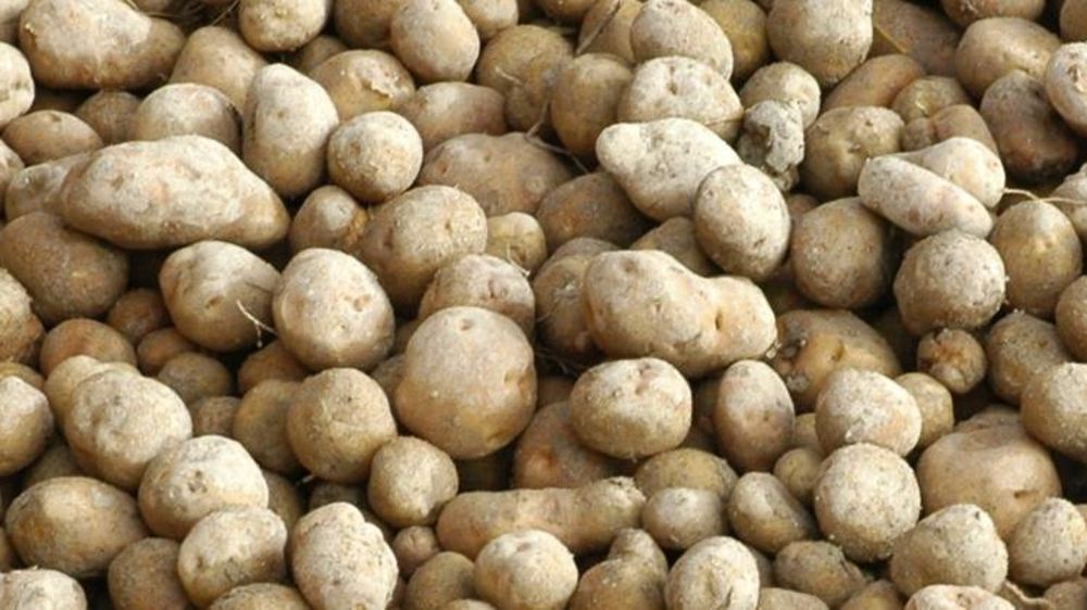 © Pascal Crapon / GFA