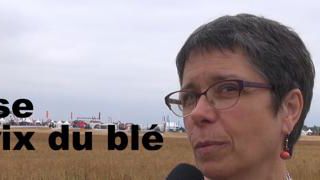 Une concurrence très forte sur le marché mondial du blé (vidéo) Une concurrence très forte sur le marché mondial du blé (vidéo)