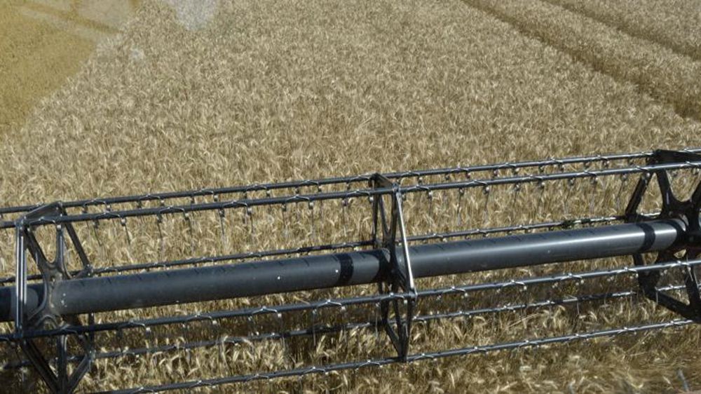 Axéréal dévoile ses mesures de solidarité