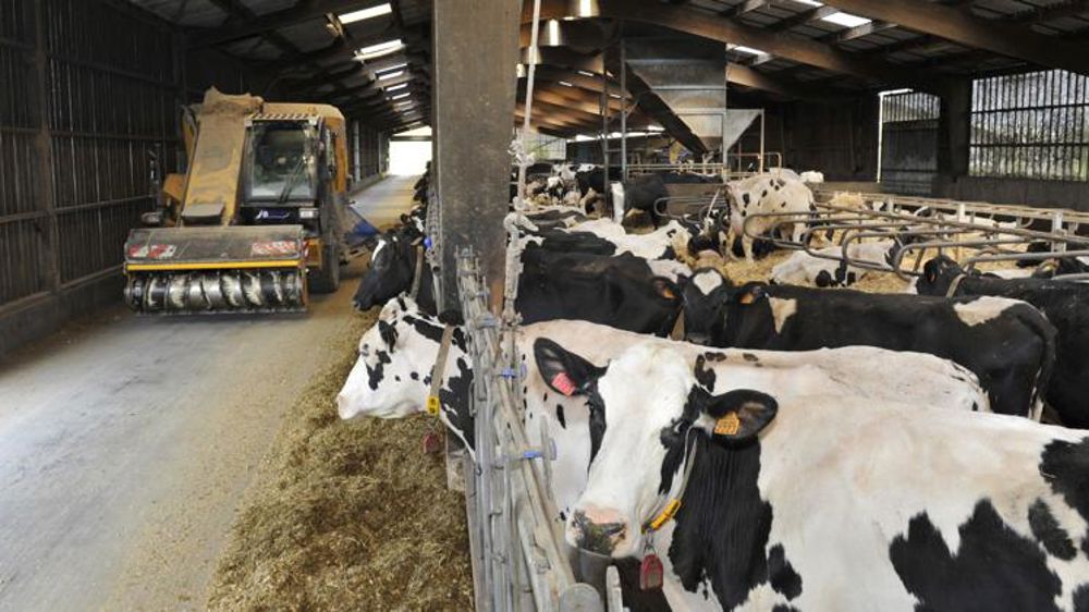 Chute des fabrications en juillet