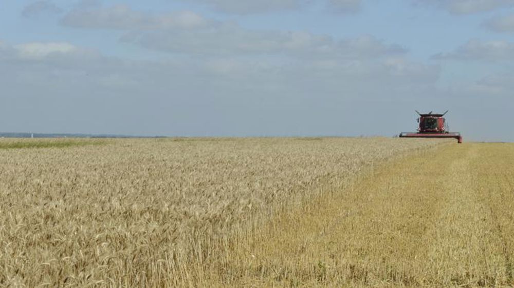 Combinaison d’une production record dans le monde et faible dans l’UE