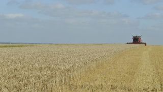 Combinaison d’une production record dans le monde et faible dans l’UE Combinaison d’une production record dans le monde et faible dans l’UE