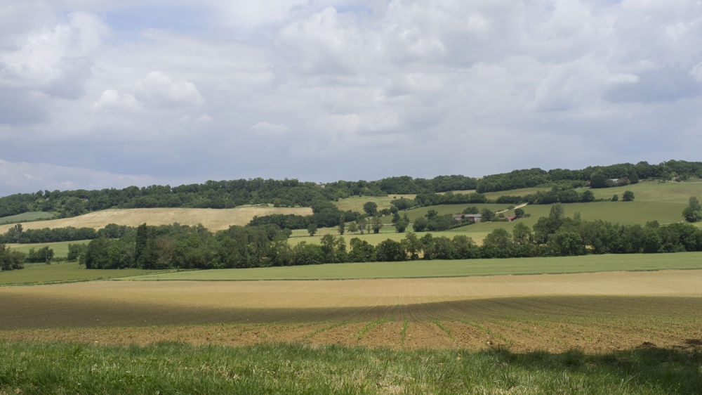La Coordination rurale dénonce « une posture défaitiste »