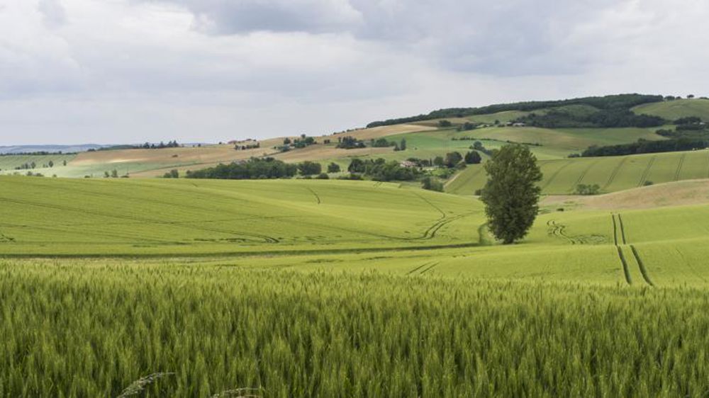 L’agroécologie, une solution contre la famine pour 68 % des Français