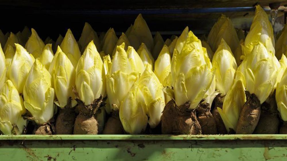 © Philippe Dufour/Interfel