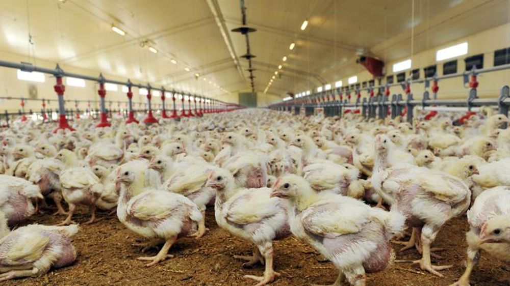 Vigilance renforcée en France