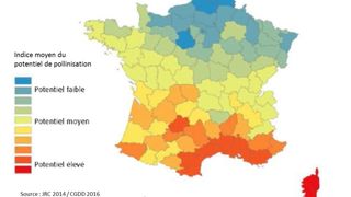 Des services évalués entre 2,3 et 5,3 milliards d’euros en France Des services évalués entre 2,3 et 5,3 milliards d’euros en France