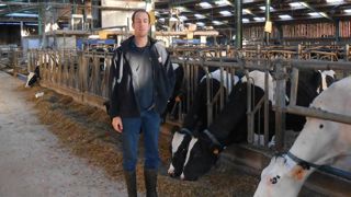 Ils devront ressemer des prairies Ils devront ressemer des prairies