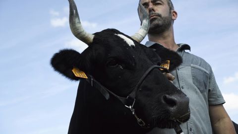 Une bretonne pie noir égérie de l’édition de 2017 Une bretonne pie noir égérie de l’édition de 2017