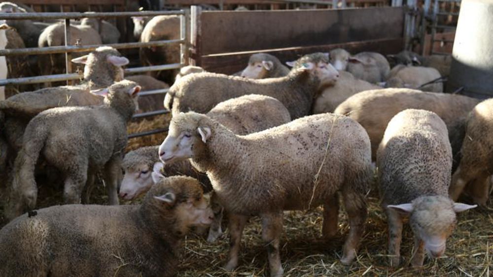 © M-F. Malterre/GFA