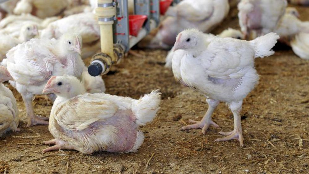 La production française se replie