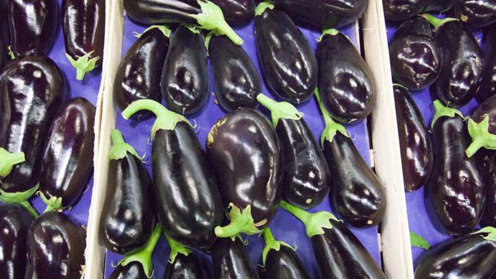 Moins d’organismes nuisibles dans les plantes