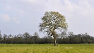 L’ATR revalorisée pour les MAEC et la bio L’ATR revalorisée pour les MAEC et la bio