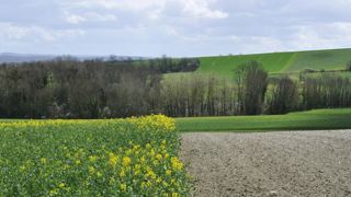 L’agriculteur actif au cœur des débats sur le foncier L’agriculteur actif au cœur des débats sur le foncier