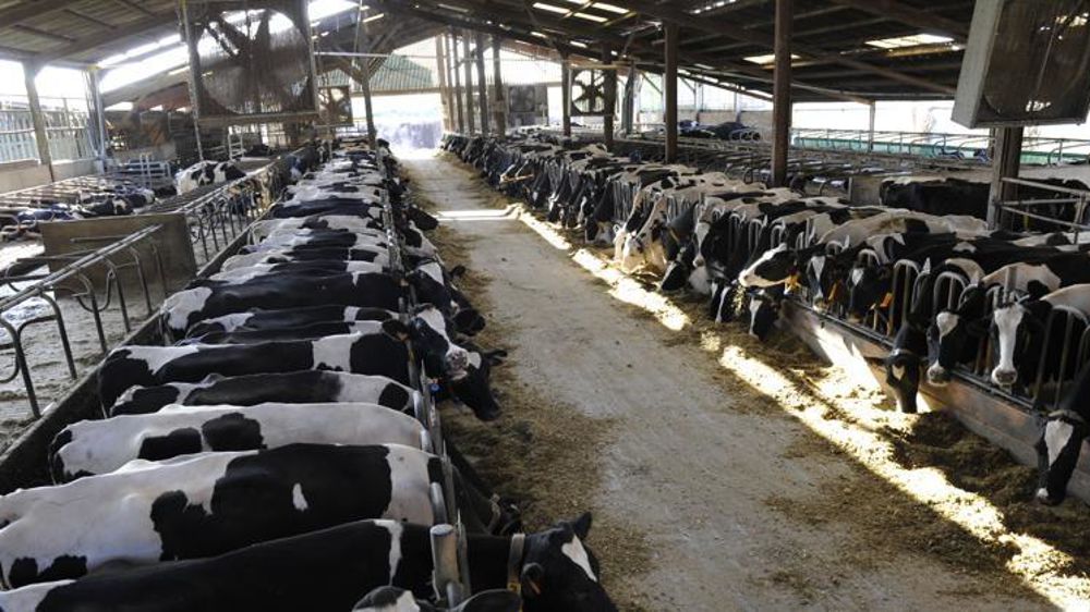 © Cédric Faimali/GFA