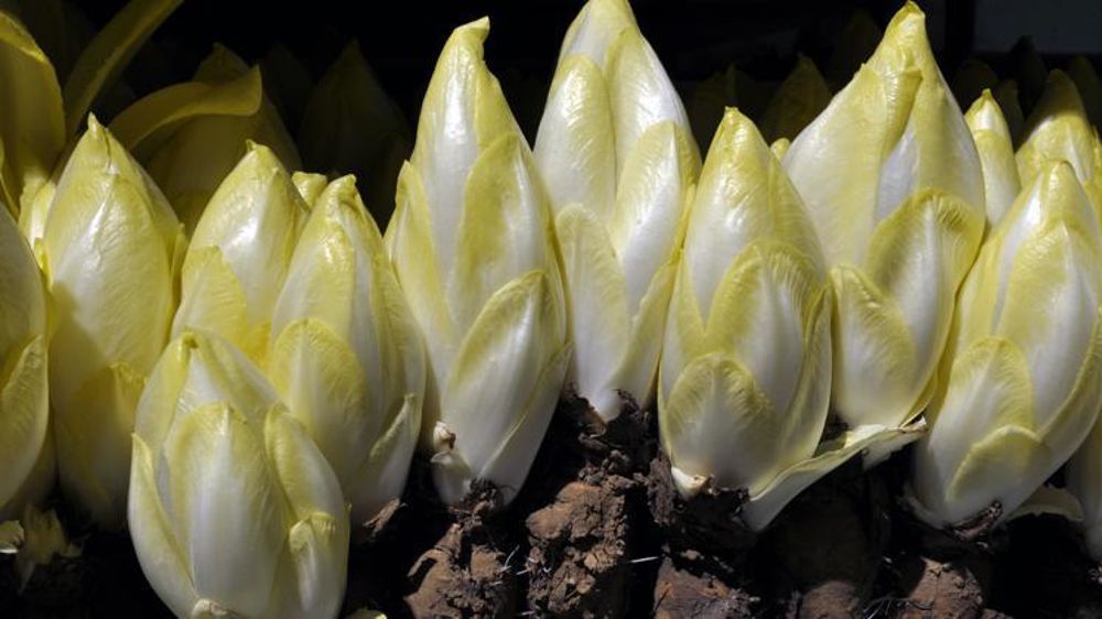 © Philippe Dufour/Interfel