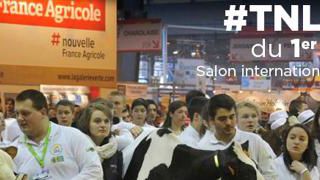 J-13 avant le début de la compétition J-13 avant le début de la compétition