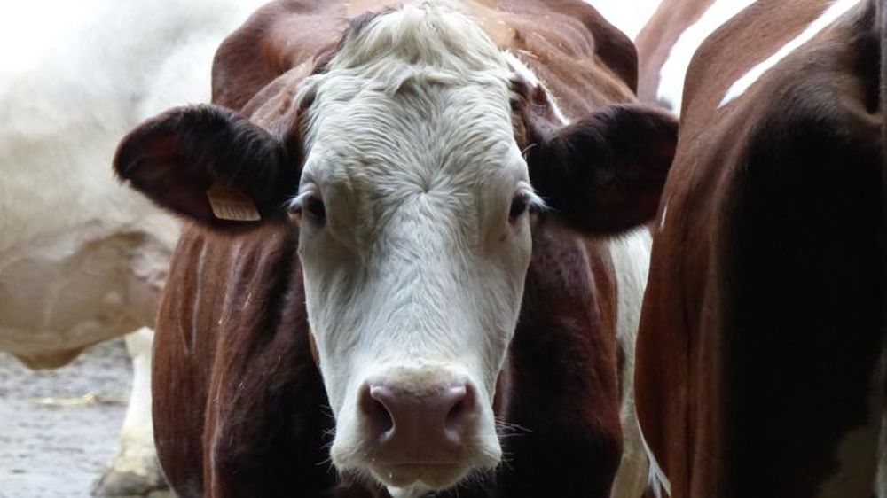 La demande d’aide à renvoyer avant la mi-mars