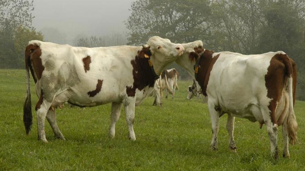 Les DDT ont un mois de plus pour envoyer les demandes à FranceAgriMer