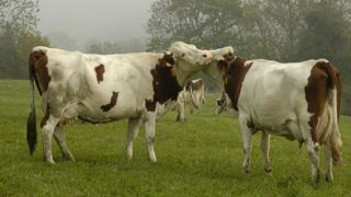 Les DDT ont un mois de plus pour envoyer les demandes à FranceAgriMer Les DDT ont un mois de plus pour envoyer les demandes à FranceAgriMer