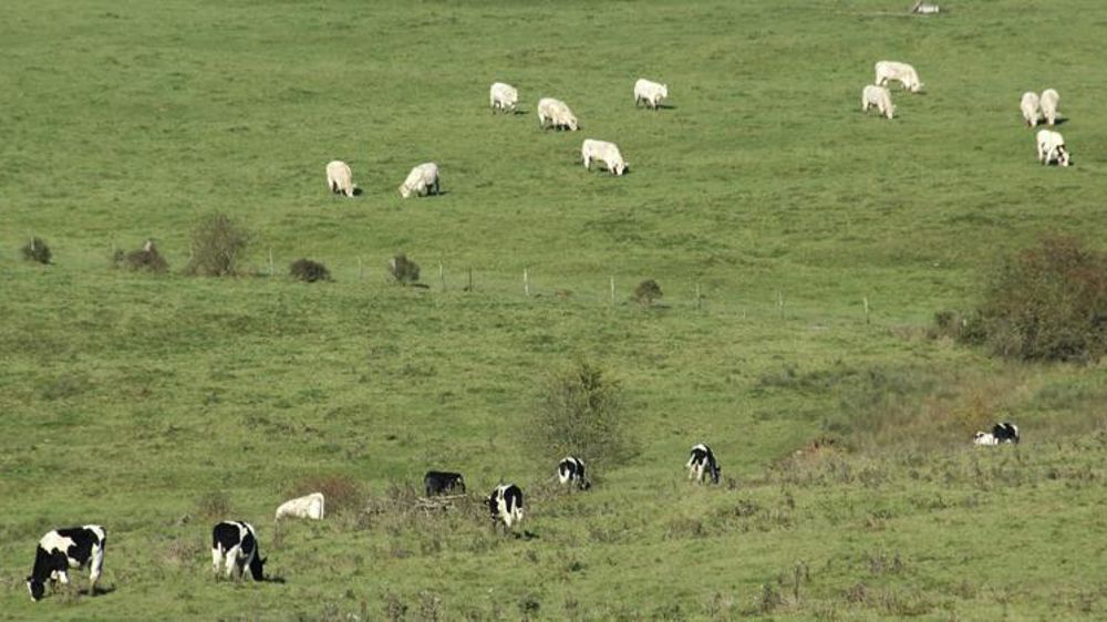 © Pascal Crapon/GFA