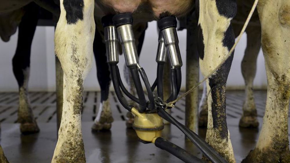 Sous la barre des 300 €/1 000 l