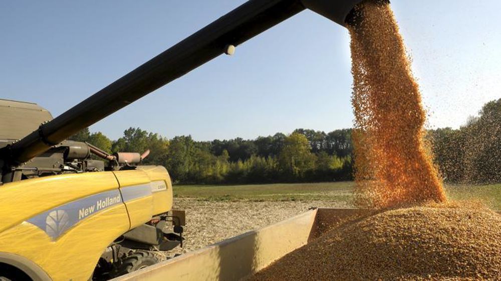 © Jean-Michel Nossant