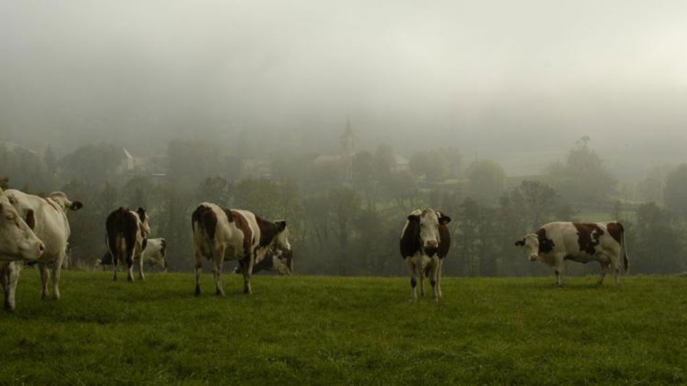 Les Gaec d’éleveurs passés à la loupe