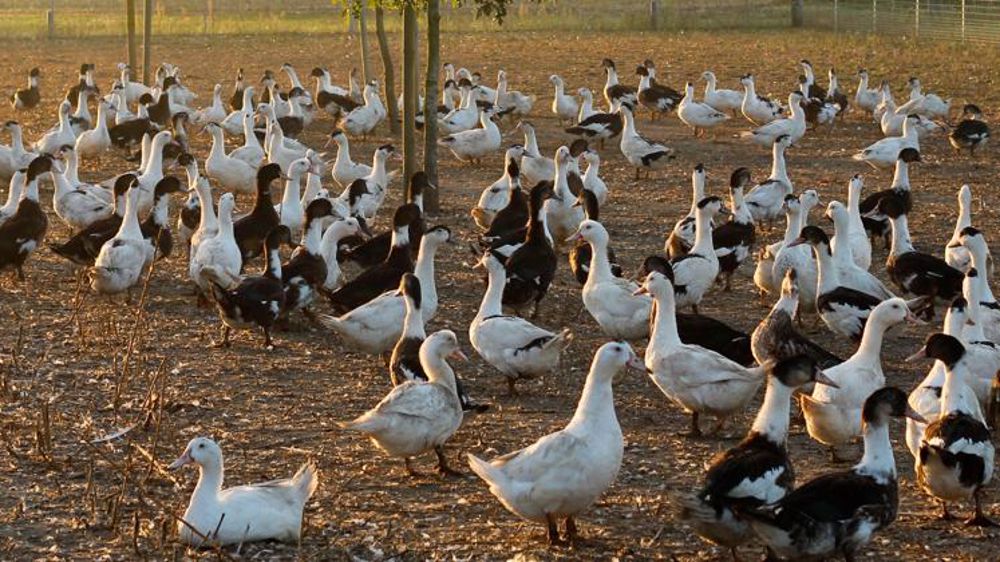Le pacte de lutte et de relance signé