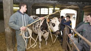 Le programme des JA européens Le programme des JA européens