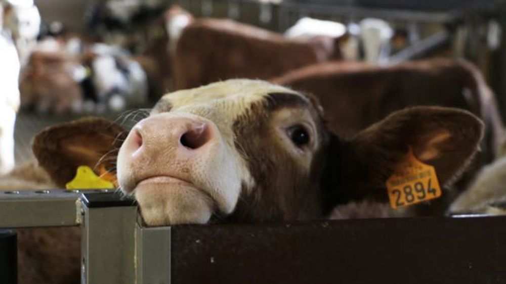 Renouvellement des générations et attentes sociétales