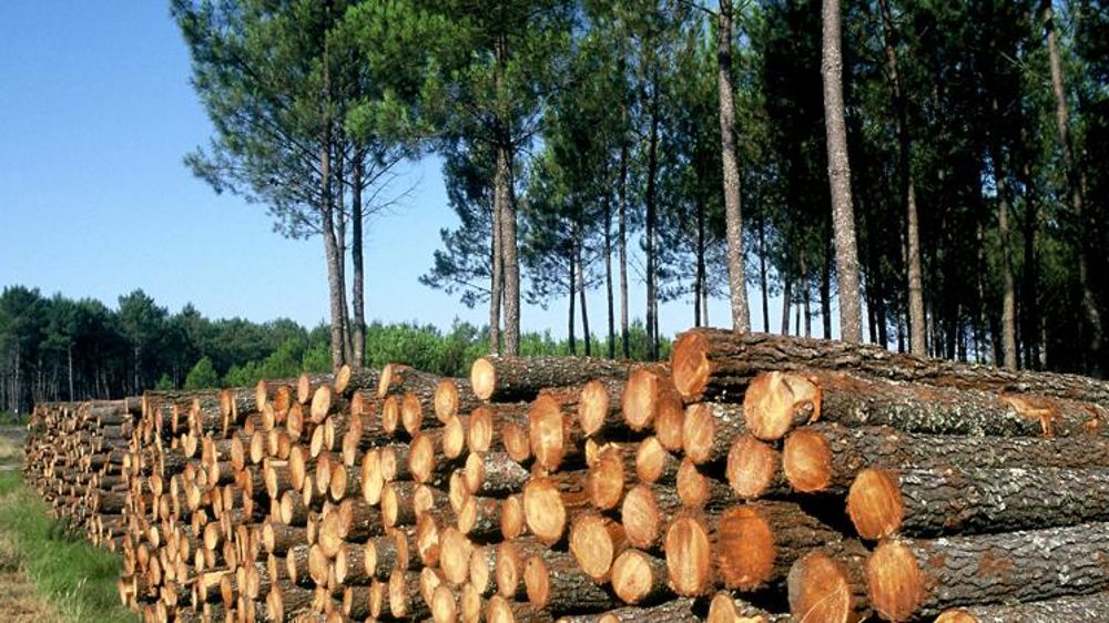 Hausse de 2 % du déficit commercial