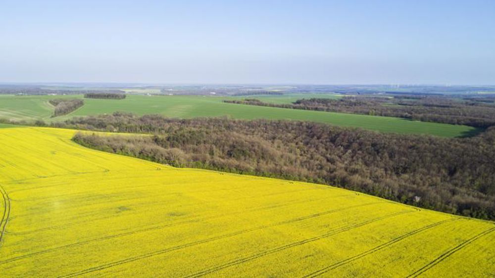 Encore et toujours la sécheresse en avril