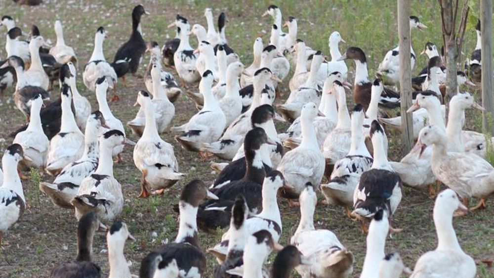 Un « premier pas » pour la Confédération paysanne et le Modef