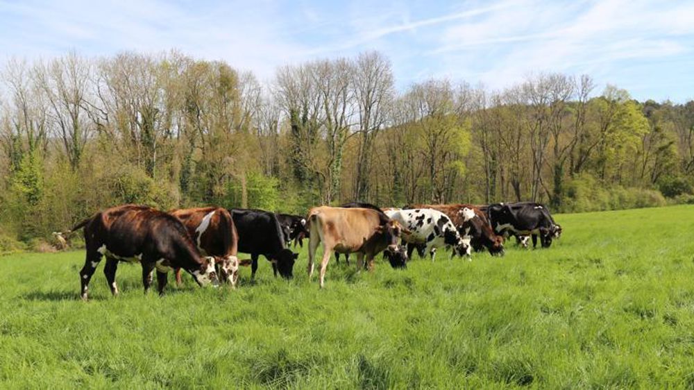 Précocité. La pousse de l’herbe est très ralentie depuis l’installation de la sécheresse (photo prise le 10 avril à Pixérécourt, dans la Meurthe-et-Moselle). © M.-F. Malterre