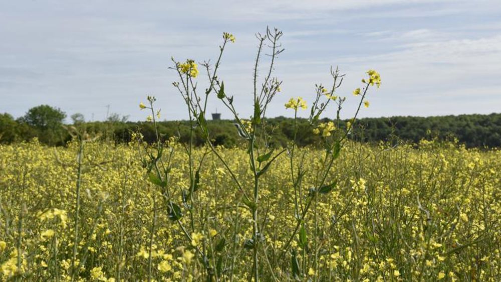 Le Modef défend « une caisse mutualiste d’assurance »