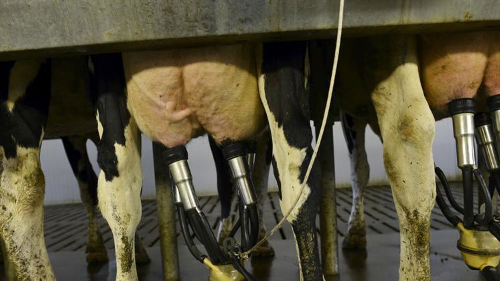 Les producteurs interpellent les coopératives